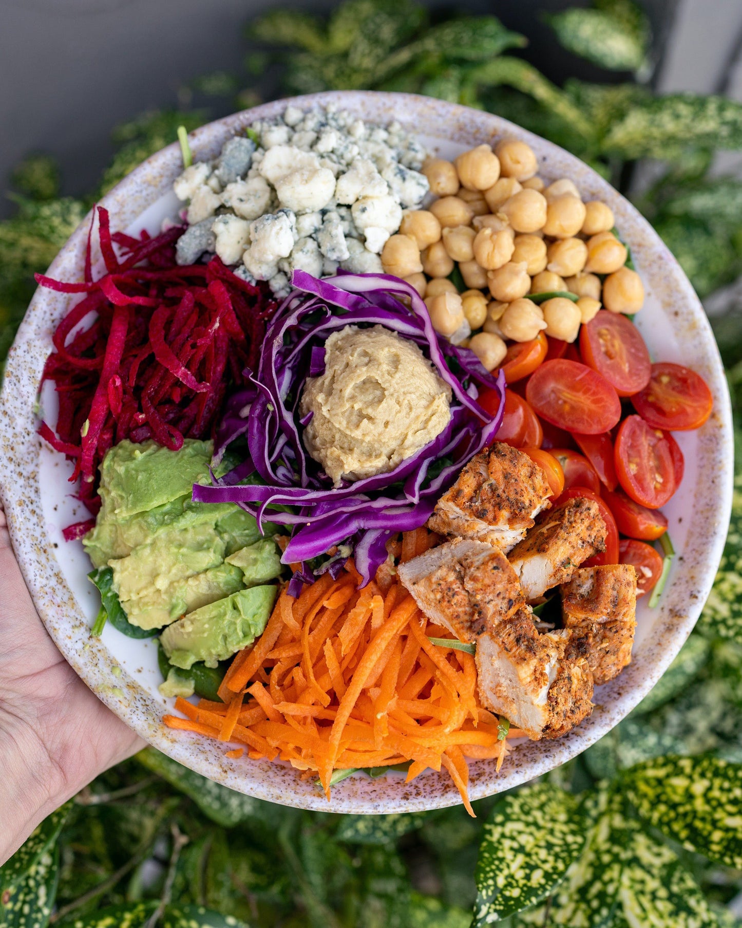 Dieta paleolítica